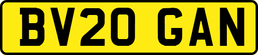 BV20GAN