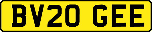 BV20GEE