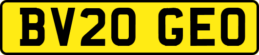 BV20GEO