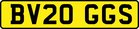 BV20GGS