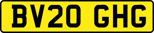 BV20GHG