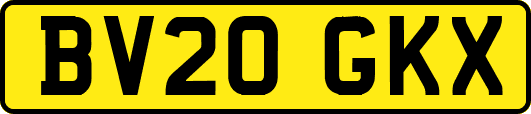 BV20GKX