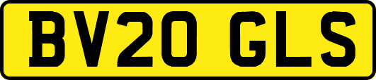 BV20GLS