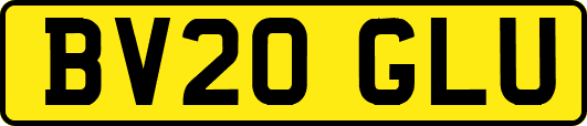 BV20GLU