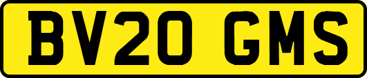 BV20GMS