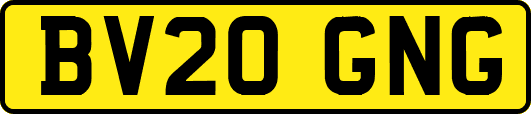 BV20GNG