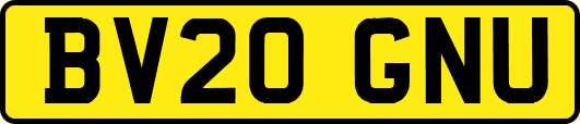 BV20GNU