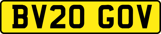 BV20GOV