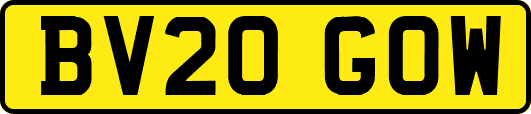 BV20GOW