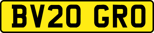 BV20GRO