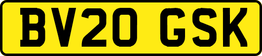 BV20GSK