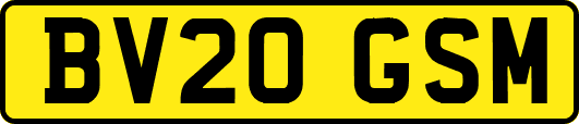BV20GSM