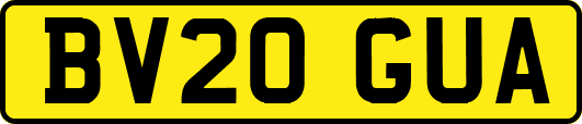 BV20GUA