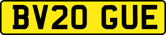 BV20GUE