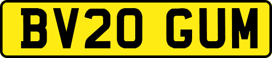 BV20GUM