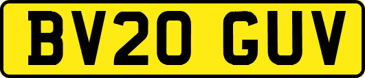 BV20GUV