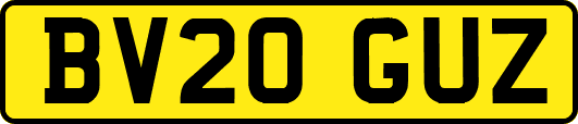 BV20GUZ