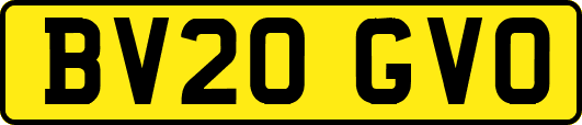 BV20GVO