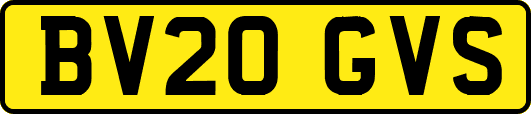 BV20GVS