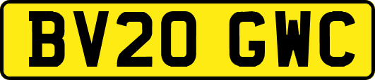 BV20GWC
