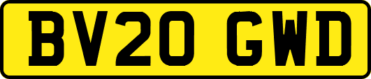 BV20GWD