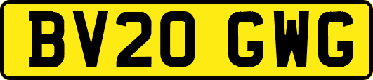 BV20GWG