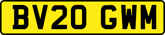 BV20GWM