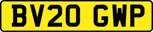 BV20GWP