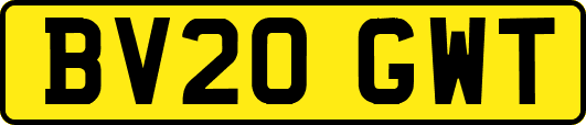 BV20GWT