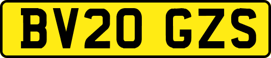 BV20GZS