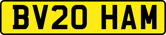 BV20HAM