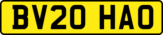 BV20HAO