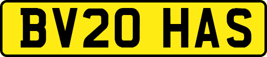 BV20HAS