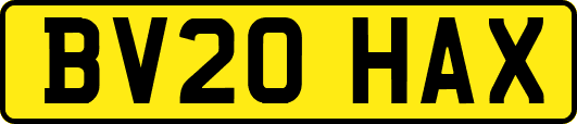 BV20HAX