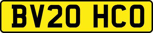 BV20HCO