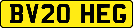 BV20HEG