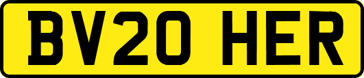 BV20HER