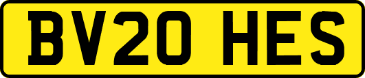 BV20HES