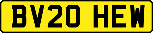 BV20HEW