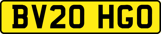 BV20HGO