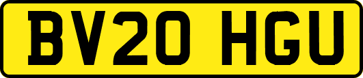 BV20HGU