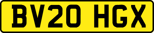 BV20HGX