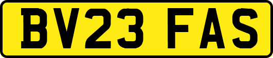 BV23FAS