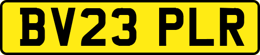 BV23PLR