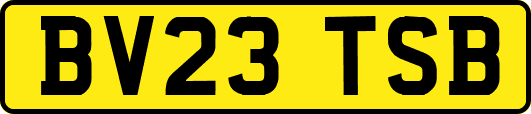 BV23TSB