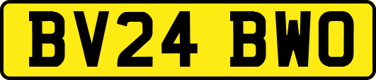 BV24BWO
