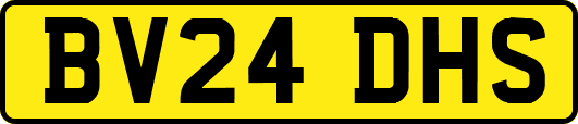 BV24DHS