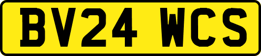 BV24WCS