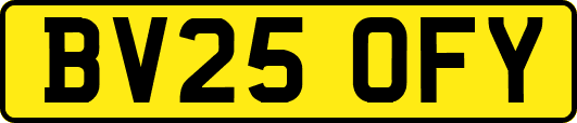 BV25OFY