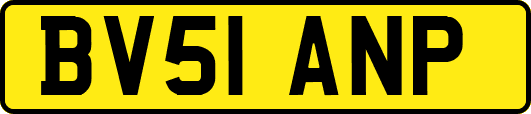 BV51ANP